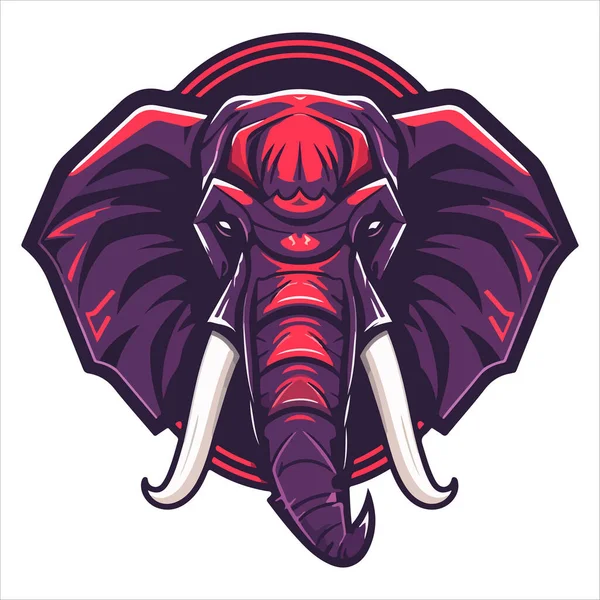 Logo Despachante Pinheirinho